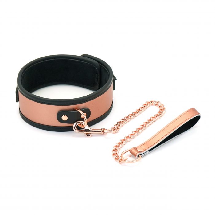 Rose gold leather collar and leash