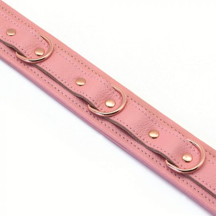 Pink Leather Collar Bondage