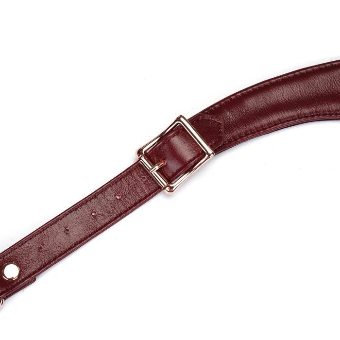Red Leather Forced Orgasm Harness Belt