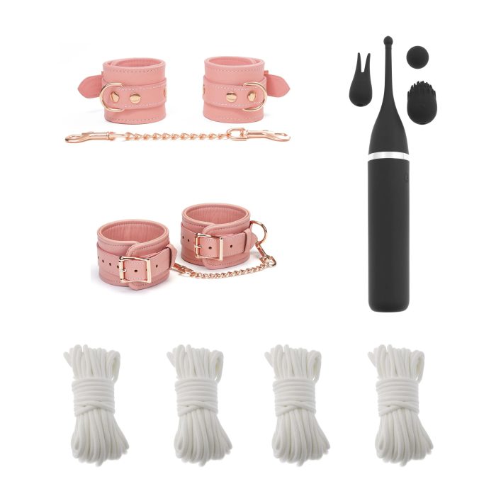 BDSM Starter Kit in Pink Leather